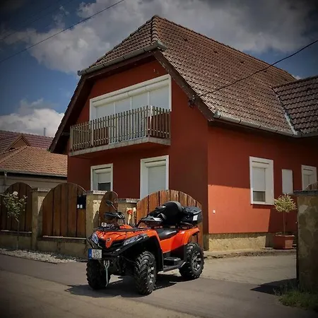 Zsuzsi Vendeghaz * Visz