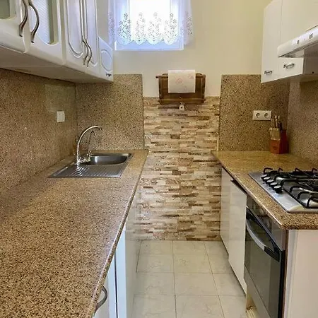 Zsuzsi Vendeghaz 度假居