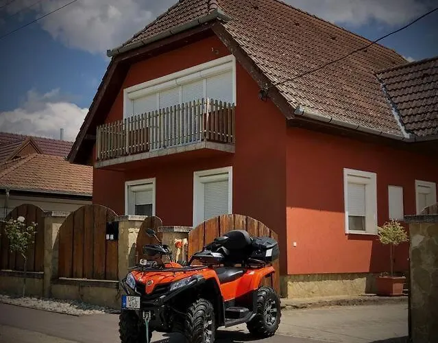 Zsuzsi * Visz